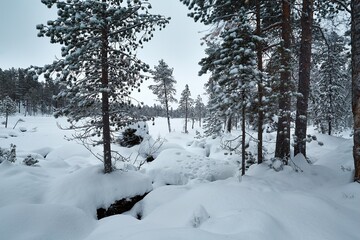 Snowy winter landscape in Northern Finland, Pielpajarvi