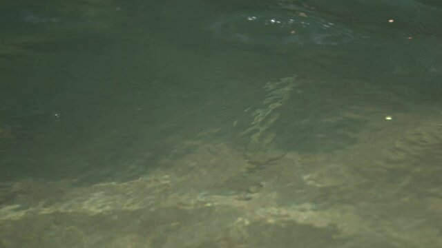 渓流にてフライフィッシングで川魚を釣る