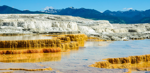 yellowstone national park