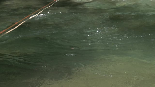 渓流にてフライフィッシングで川魚を釣る