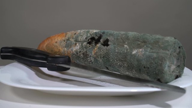 Mouldy white bread with a knife in the plate rotates in front of the camera