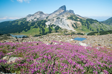 Idyllic landscape of Garibaldi lakes