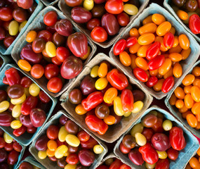 Fresh produce for sale at a local farmers market in St. Pete Beach, Florida.