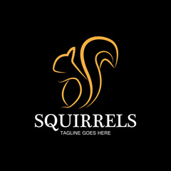 creative squirrel animal logo design icon symbol illustration-vector
