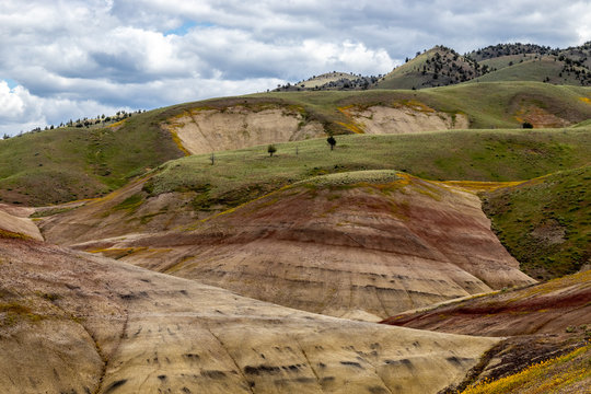 Green hills in the Spring of the Painted Hills