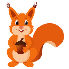Squirrel with a nut. Funny vector illustration. Cute squirrel holding an acorn. Illustration of a cute squirrel.