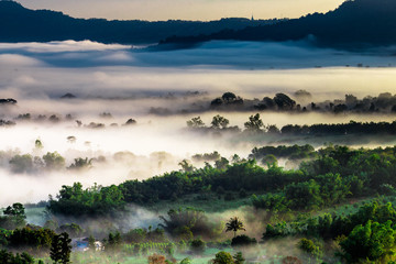 Natural blurred background of fog scattered among trees in the morning, with soft sunlight from the sun, seasonal beauty.