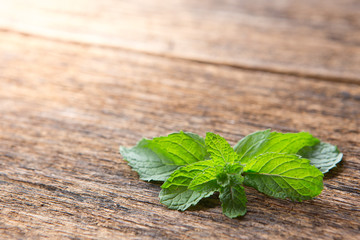 Close up of Mint leaves on a wooden background  with sunlight