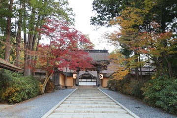 高野山　紅葉