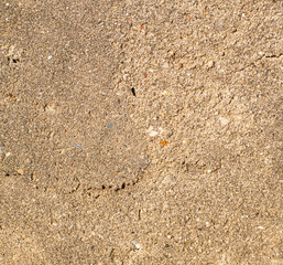 Beige Cement Grunge Old Dirty Rough Textured Background
