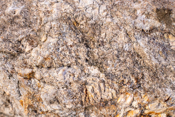 Stone Grunge Old Dirty Granite Textured Background