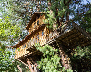 Treehouse