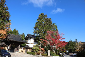 高野山　紅葉