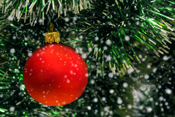 A red bubble hanging on a green Christmas tree