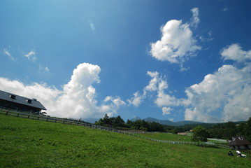 Obraz premium 高原の牧場