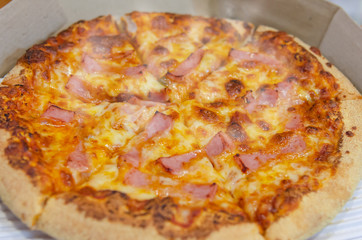 Ham Cheese Pizza