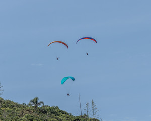 fly
