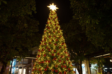 Christmas trees adorn and Strap Accessories At night and lighting Christmas time,