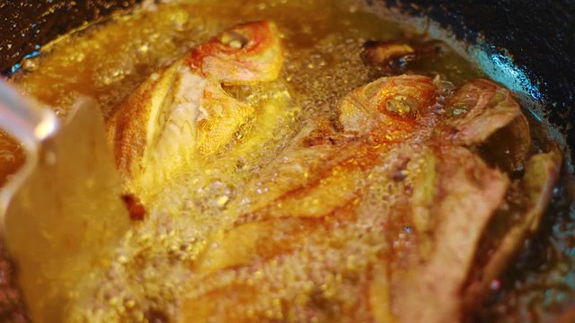 Chef flipping red snapper fish frying in oil with spatula