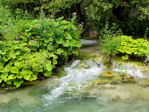 Beautiful little waterfall am pund 