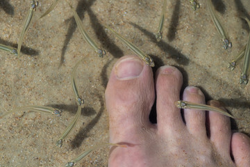 feet on sand