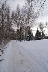 Obraz premium Snowy Trail in Winter