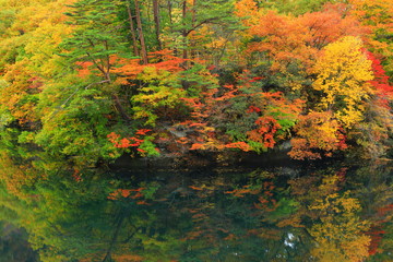 岩手県西和賀町　紅葉の錦秋湖