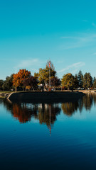 autumn at ellis lake