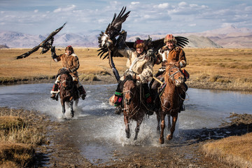 A group of traditional kazakh eagle hunters holding their golden eagles on horseback while galloping through a river. Ulgii, Mongolia. - 301884035