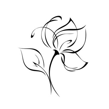one stylized flower with large petals on a short stem with a single leaf in black lines on a white background