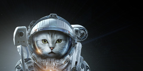 First trip to space. Mixed media