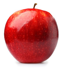 Fresh ripe apple on white background
