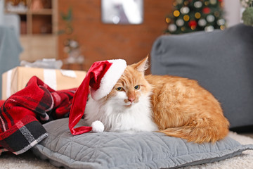 Cute cat in Santa Claus hat at home