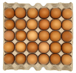 Brown chicken egg in paper box isolated on white background