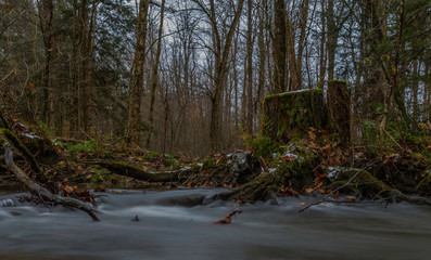 old stump in autumn scene with long exposure stream in Pennsylvania forest 