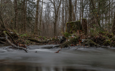 old stump in autumn scene with long exposure stream in Pennsylvania forest 
