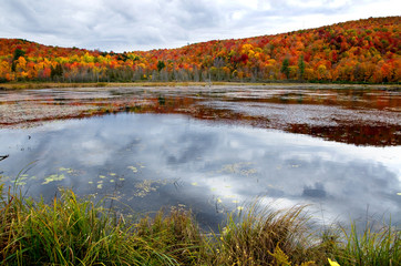 Beautiful Forest and Lake in Gatineau Park Quebec Canada