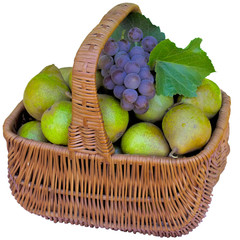 Basket with pears and grapes.