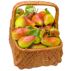 Basket with pears.