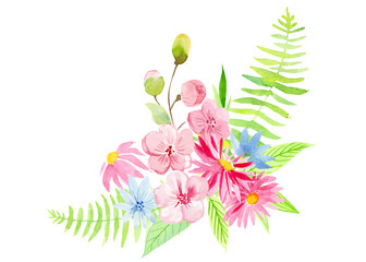 set of spring plants, branch of mimosa, leaves, fern, pink flowers, on a white background, watercolor illustration, hand drawing