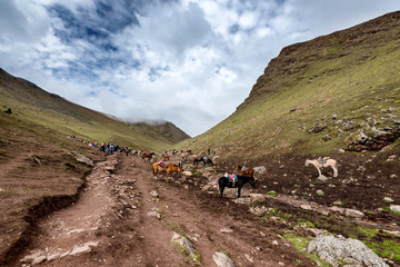 Obraz premium Quechuans and their horses on the Peruvian Andes. The horses are generally used to help hikers up the mountains.
