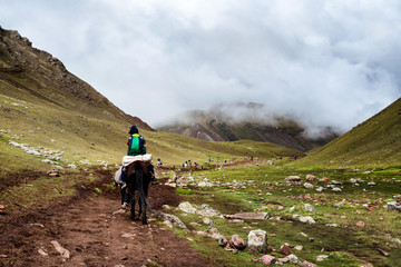Obraz premium A Quechuan man and his horse on the Peruvian Andes. The horses are generally used to help hikers up the mountains.