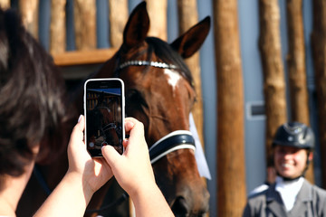 A girl photographs a horse in ammunition on the phone. Close-up, horizontal, rear view. Sport and hobby concept.