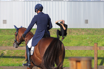 Brown horse in ammunition during the tournament. A horseman on a horse in dark clothes, view from...
