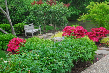 flowers in the garden