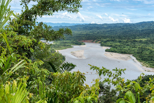 View of the Amazonia lush forest from Manu National Reserve Park in Peru