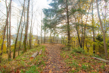 Maplewood Flats, Vancouver, November