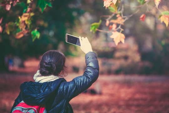 Woman taking photos in Hyde Park in fall season