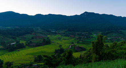 beautiful landscape view of rice terraces 