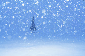 北海道　美瑛　雪景色　クリスマスツリーの木